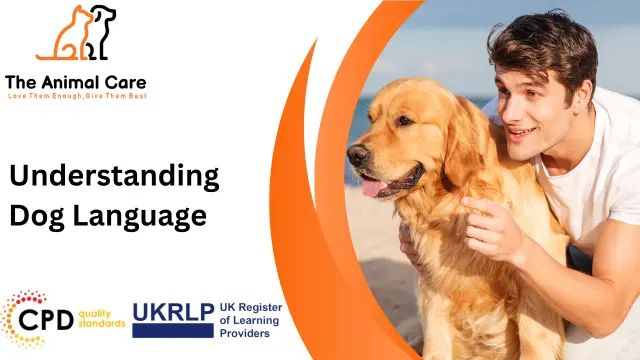 Understanding Dog Language