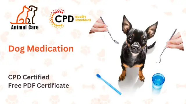Dog Medication Course