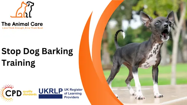 Stop Dog Barking Training