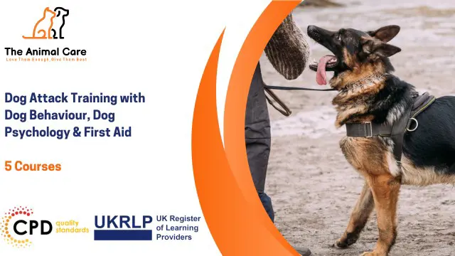Dog Attack Training with Dog Behaviour, Dog Psychology & First Aid