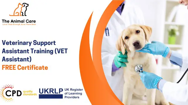 Veterinary Support Assistant Training (VET Assistant)