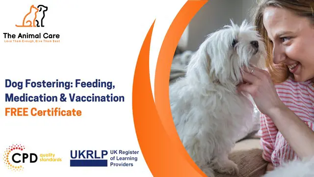 Dog Fostering: Feeding, Medication & Vaccination