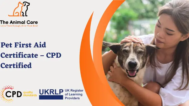 Pet First Aid Certificate with Dog Grooming - CPD Certified