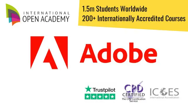 Adobe Bundle - 3 Courses