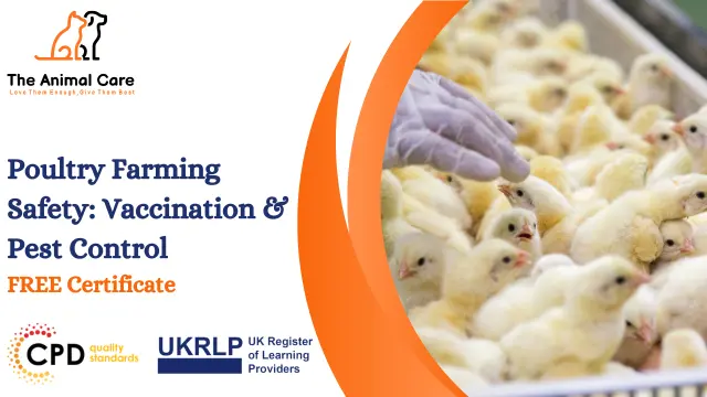 Poultry Farming Safety: Vaccination & Pest Control