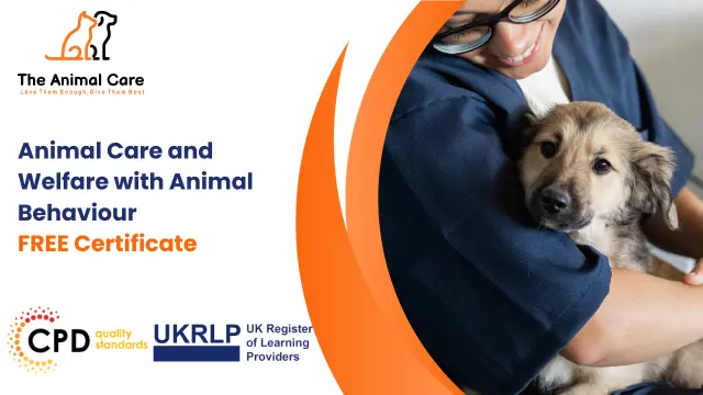 Diploma in Animal Care and Welfare with Animal Behaviour