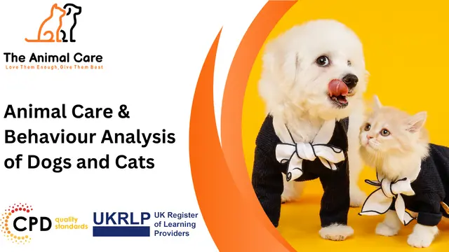 Animal Care & Behaviour Analysis of Dogs and Cats