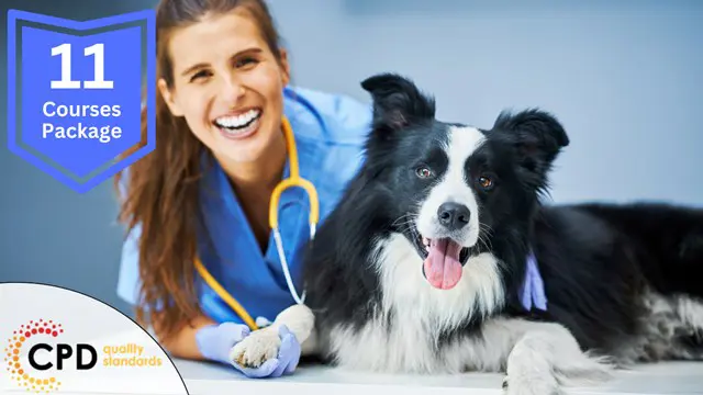 Veterinary Support Assistant (VET Assistant) - CPD Certified