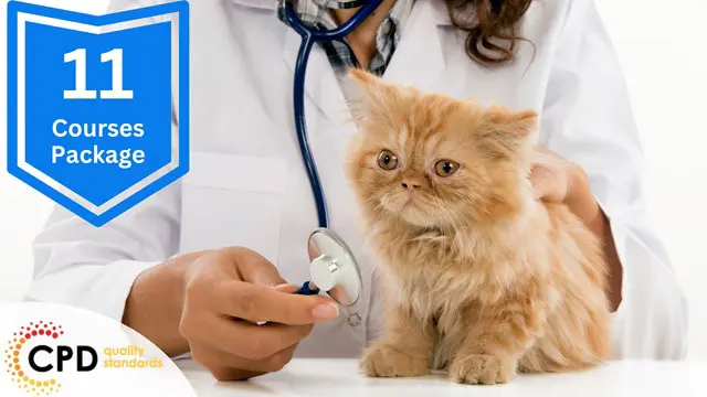 Veterinary Nursing and Veterinary Assistant Diploma