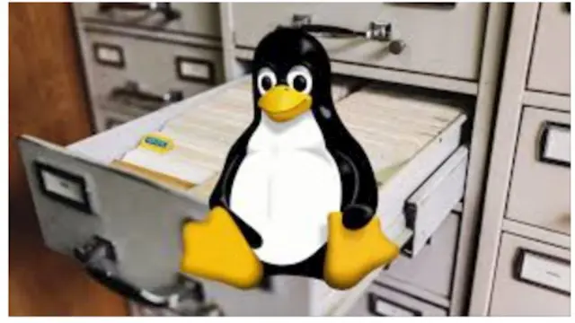 IT Linux File System