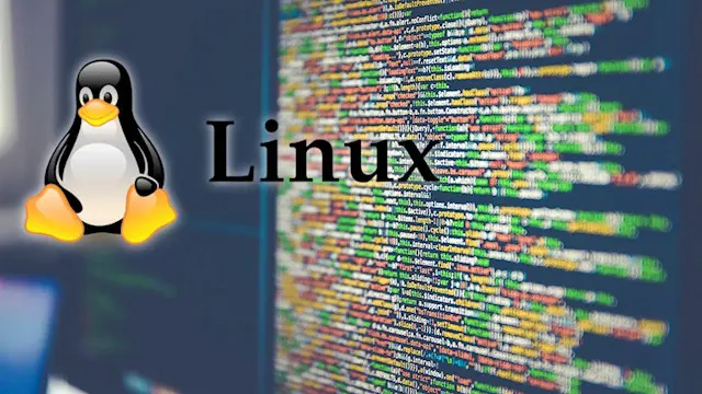 IT: Linux Bash Shell Scripting 