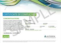 Example certificate 