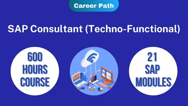 SAP Techno-Functional Consultant Career Path