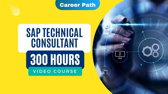 SAP Technical Consultant Career Path