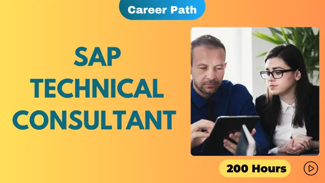 SAP Technical Consultant Career Path