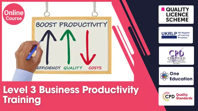 Level 3 Business Productivity Training 
