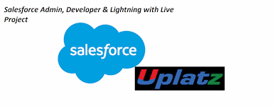 Salesforce Admin, Development, Lightning with Live Project Online Training