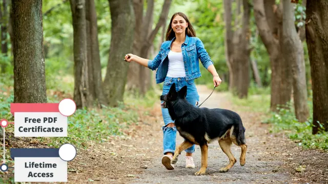 Dog Training & Dog Walking - CPD Accredited