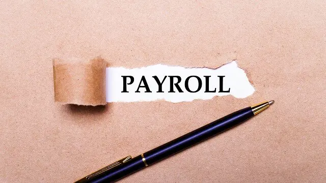 Payroll: Payroll Training
