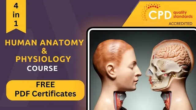 Human Anatomy, Physiology with Medical Terminology Diploma