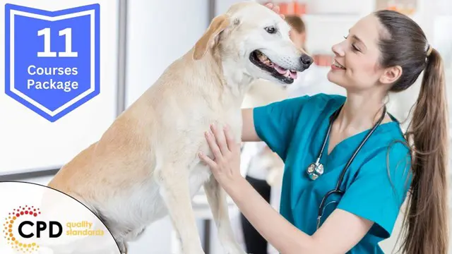 Veterinary Assistant Training - CPD Certified