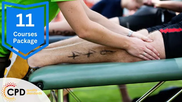 Level 3 Certificate In Sports Massage Therapy - CPD Certified