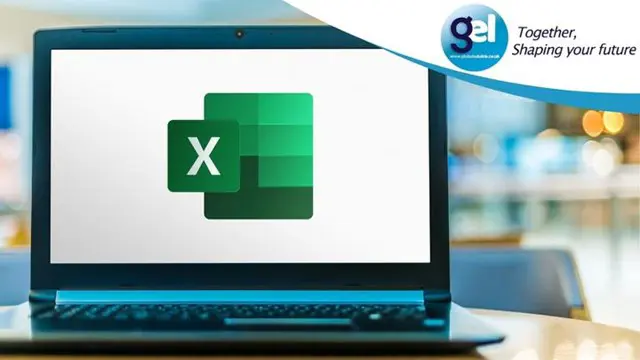 Excel : Microsoft Excel Beginner to Advanced
