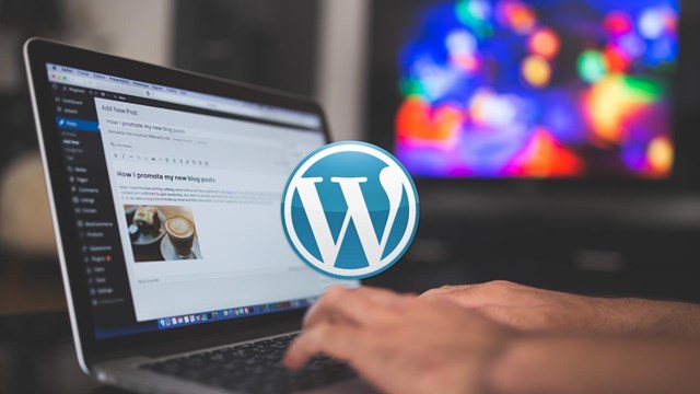 Online WordPress Course | Reed.co.uk