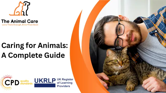 Caring for Animals: A Complete Guide