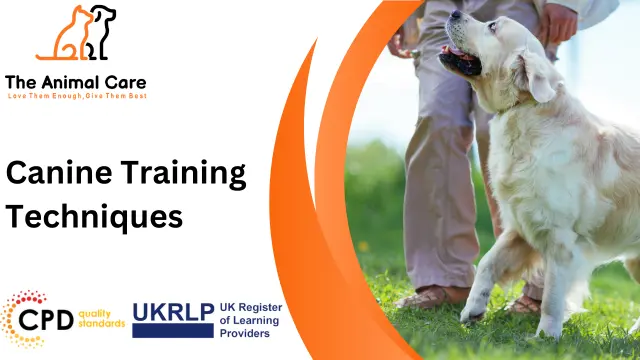 Canine Training Techniques