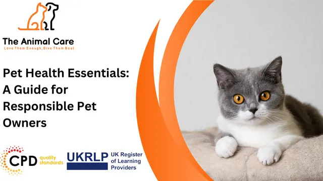 Pet Health Essentials: A Guide for Responsible Pet Owners
