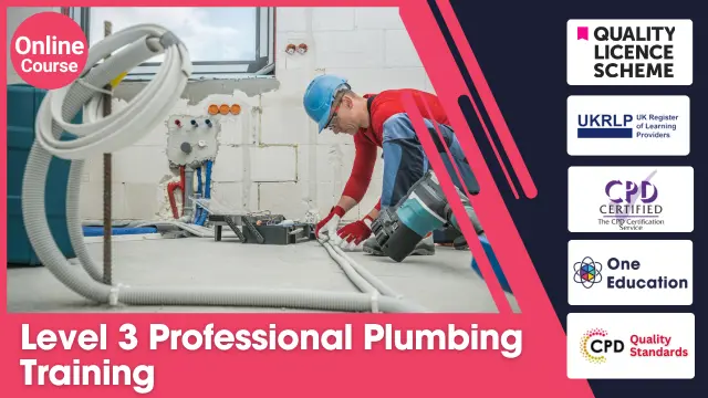 Level 3 Professional Plumbing Training 