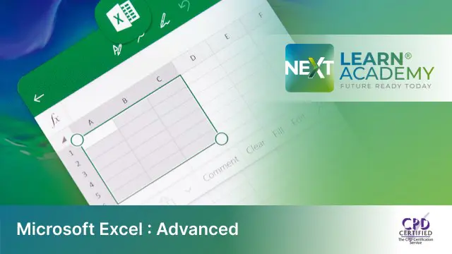 Microsoft Excel : Advanced