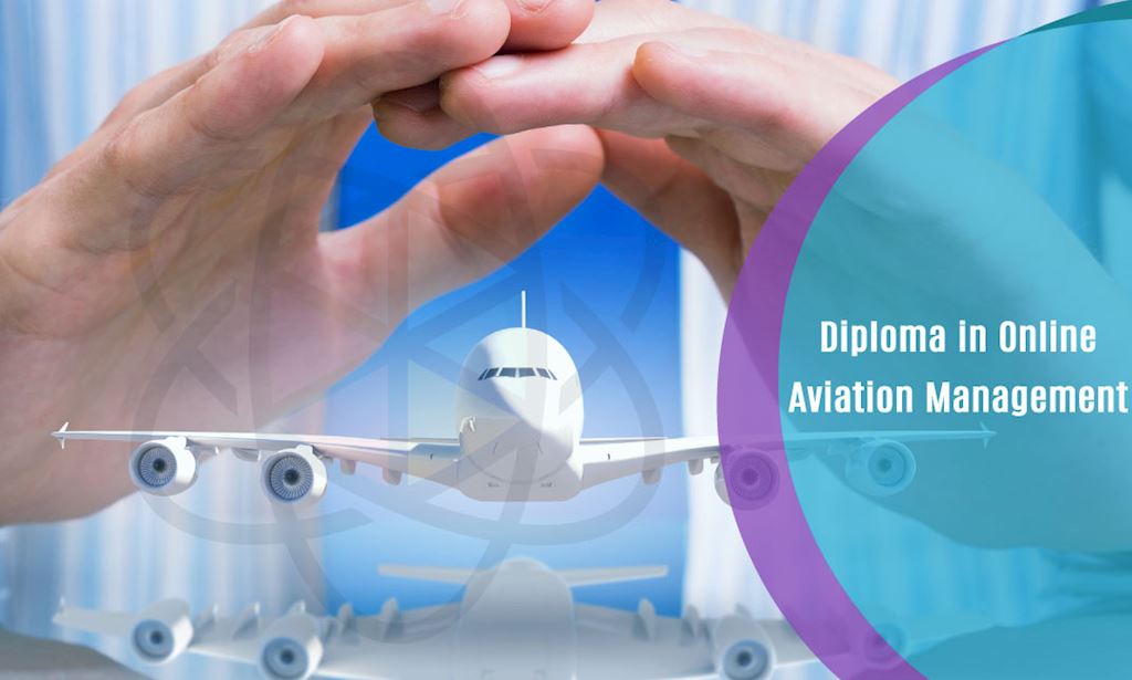 phd aviation management online