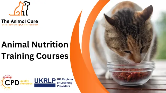 Animal Nutrition Training Courses
