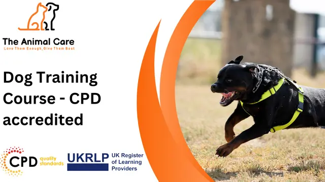 Dog Training Course - CPD accredited
