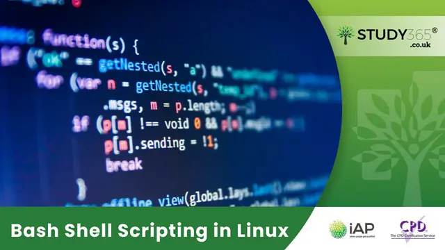 Bash Shell Scripting in Linux 