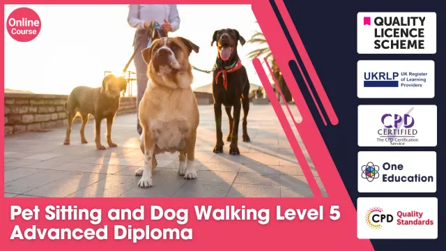 Pet Sitting and Dog Walking Level 5 Advanced Diploma 