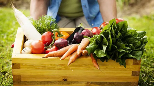 Kitchen Gardening, Organic Gardening & Horticulture - QLS Endorsed 