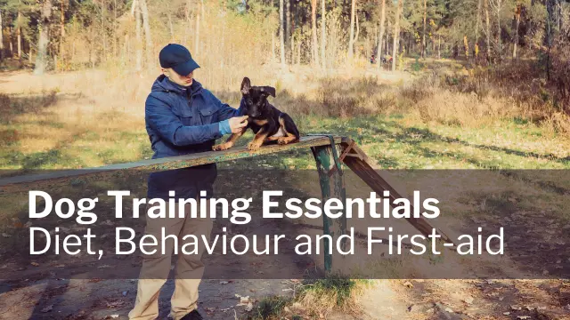 Dog Training Essentials: diet, behaviour and first-aid