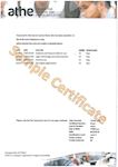 ATHE Sample Transcript