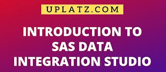 SAS Data Integration Studio online tutor-led training
