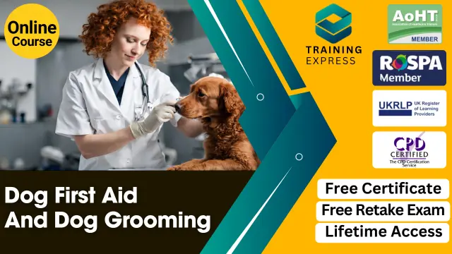 Dog First Aid Course & Dog Grooming Training