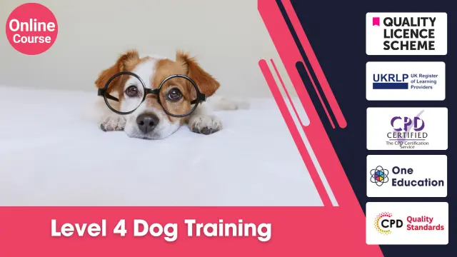 Level 4 Dog Training  