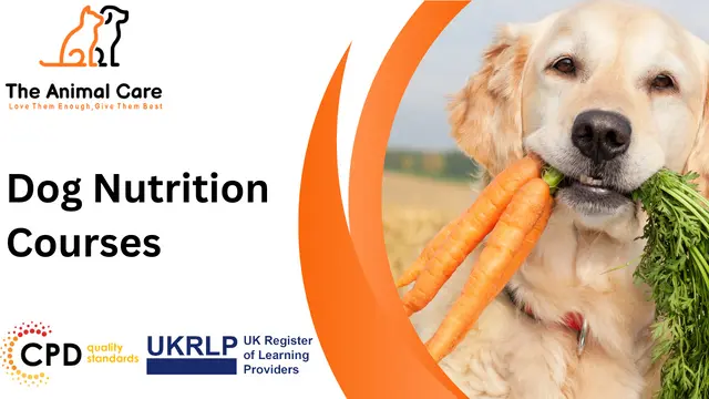 Dog Nutrition Courses