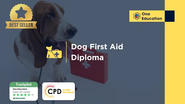 Dog First Aid Diploma
