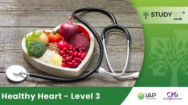 Healthy Heart - Level 3