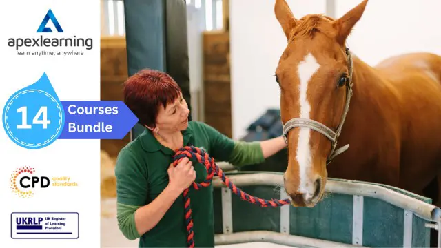 Horse Care and Stable Management Training