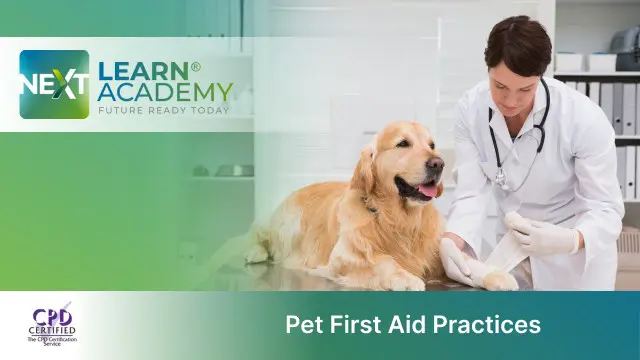 Pet First Aid Practices Course