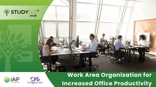 Work Area Organisation for Increased Office Productivity 